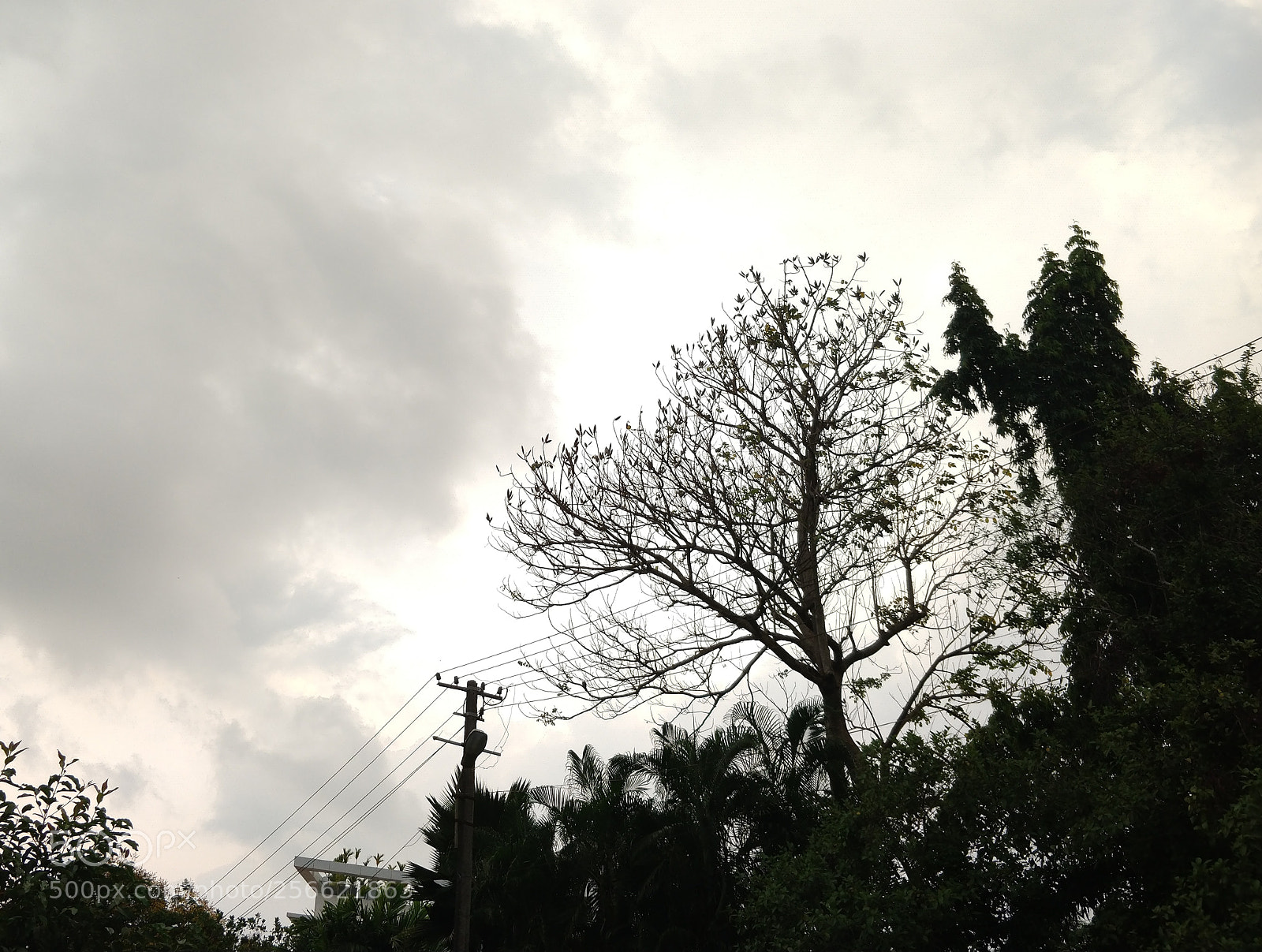 OnePlus 5T sample photo. Hope photography
