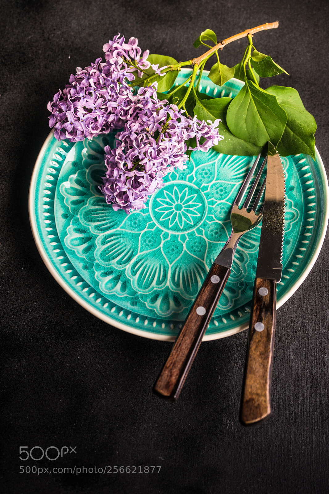 Sony a7 sample photo. Spring lilac flower concept photography