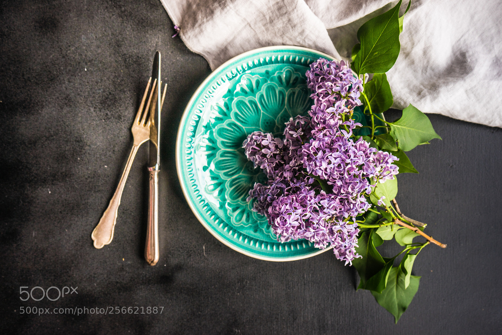 Sony a7 sample photo. Spring lilac flower concept photography