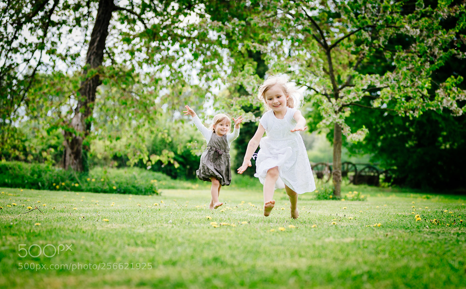 Canon EOS 6D sample photo. Untitled photography