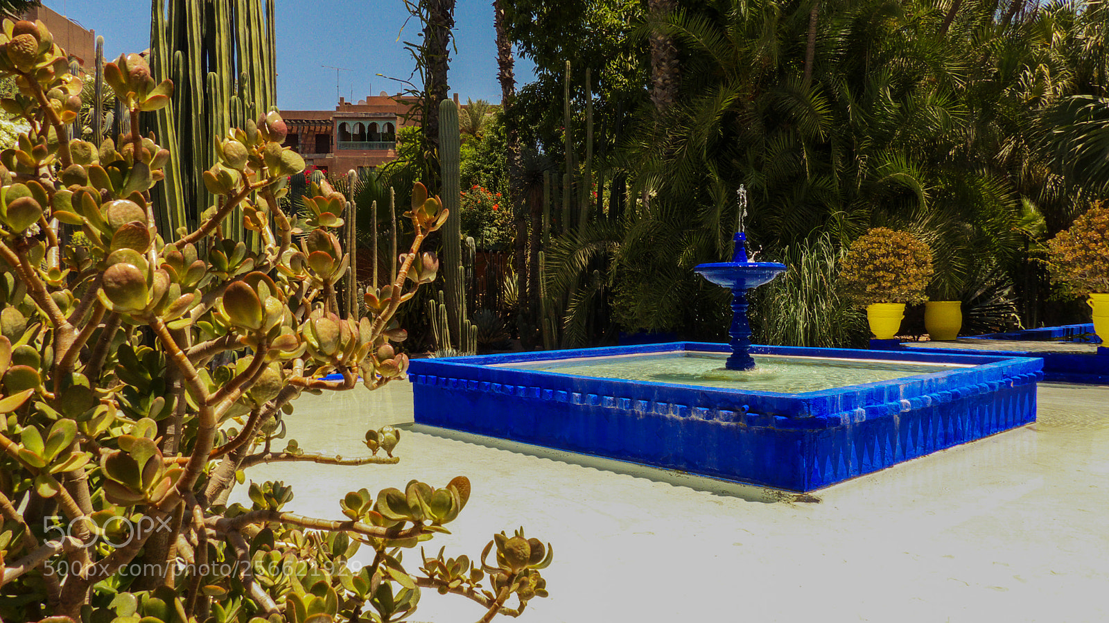 Panasonic Lumix DMC-FZ200 sample photo. Jardin majorelle - marrakesh photography
