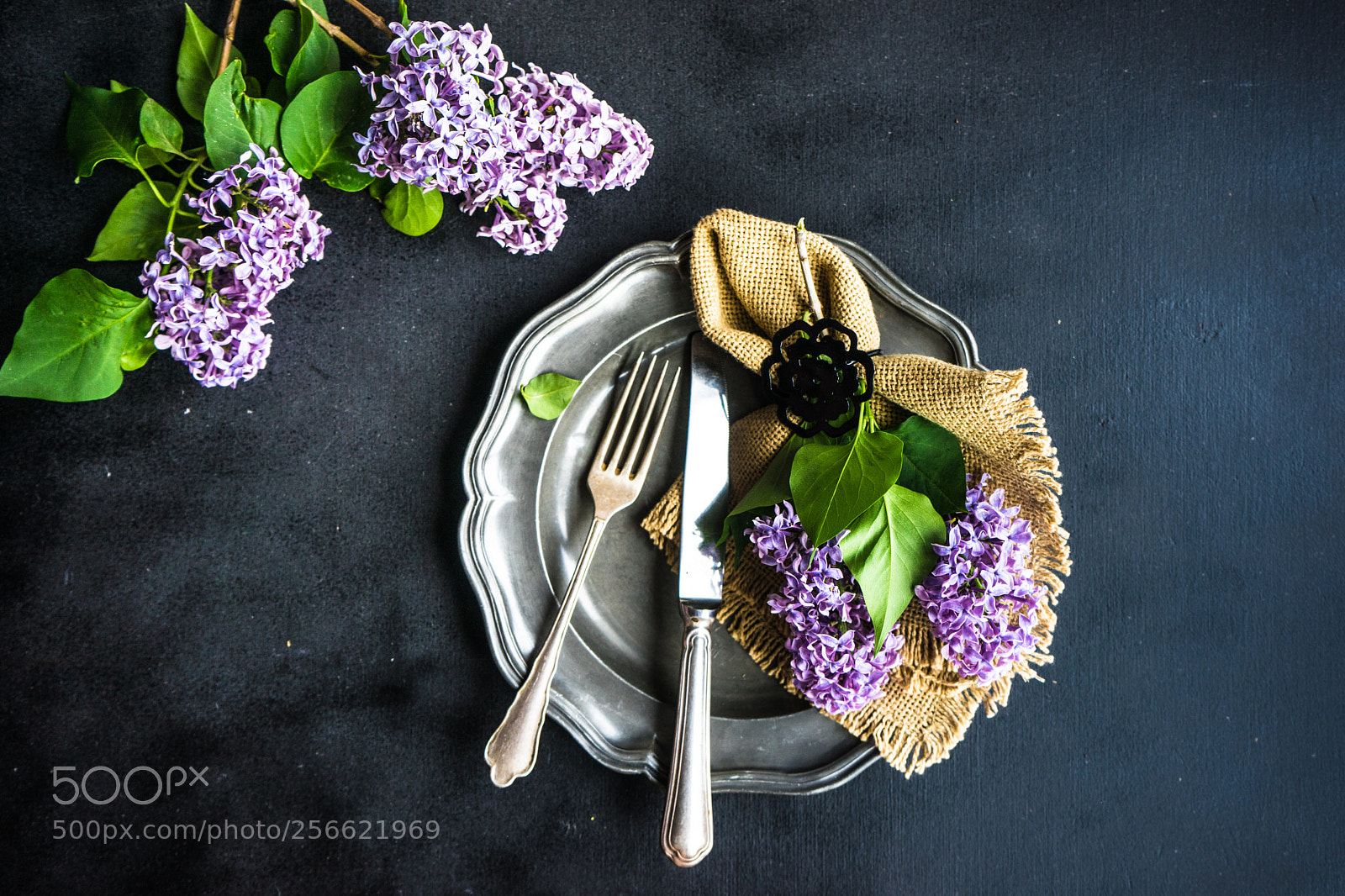 Sony a7 sample photo. Spring lilac flower concept photography