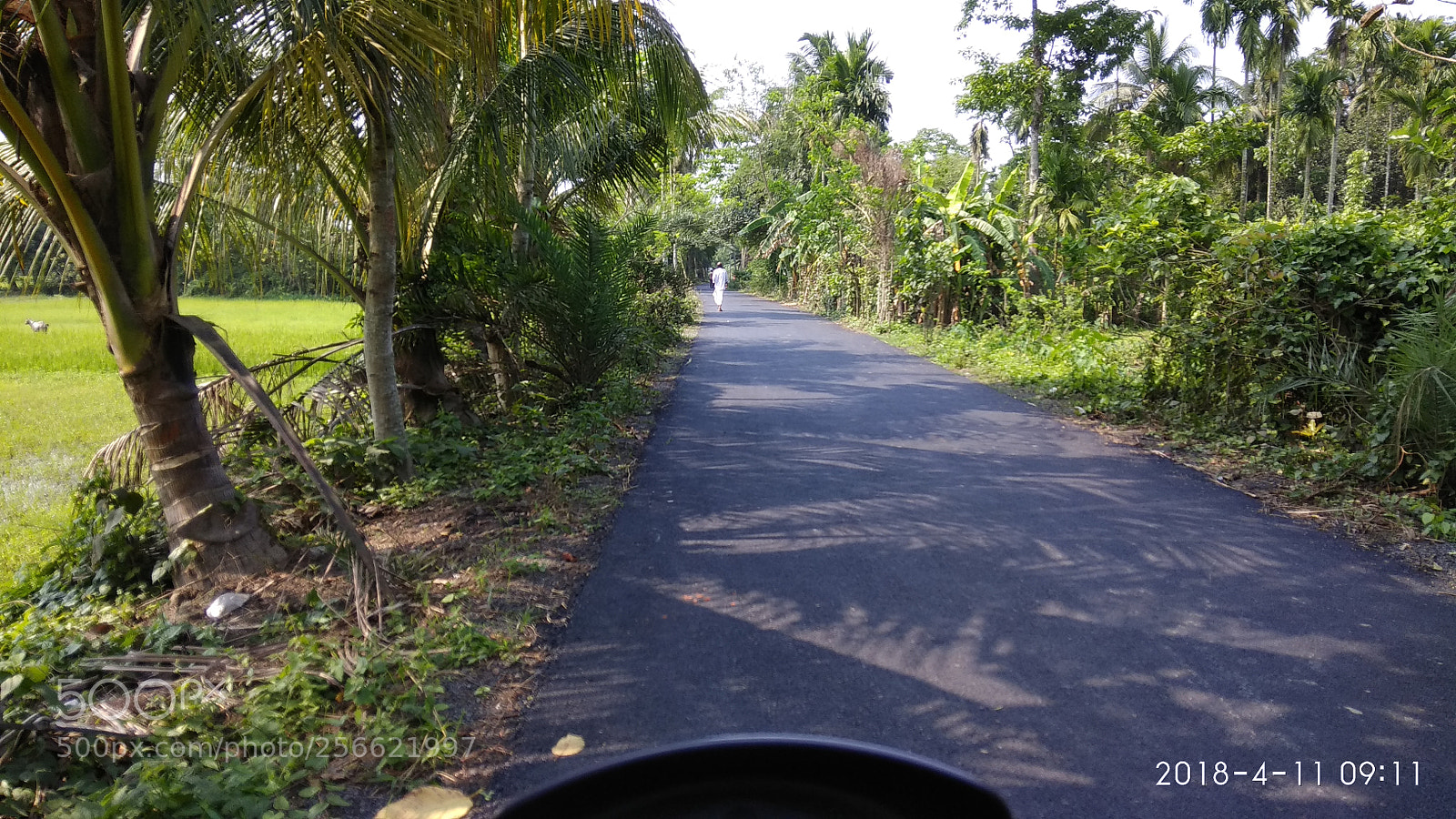 Xiaomi Redmi Note 4 sample photo. Img_20180411_091129.jpg photography
