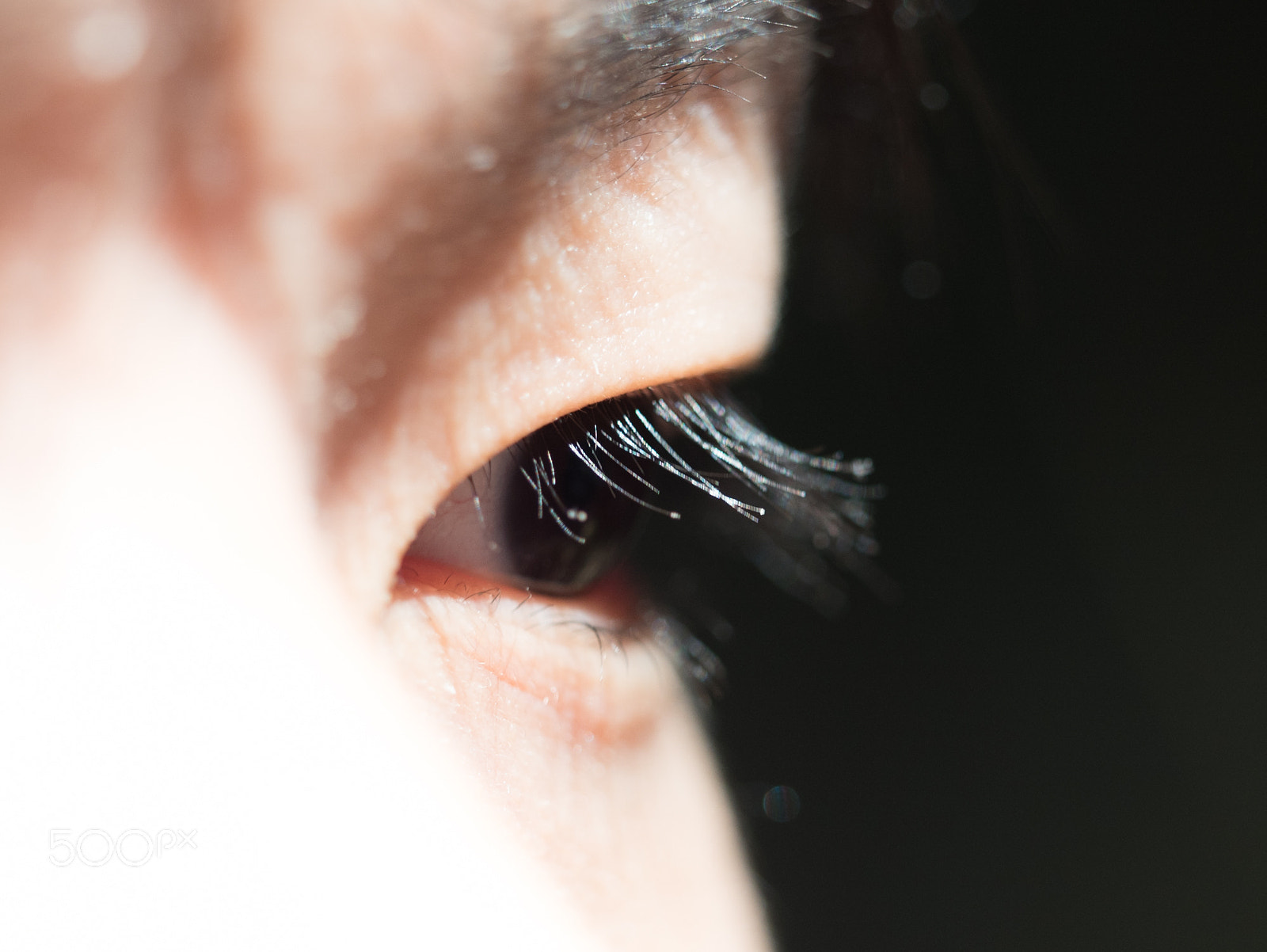 Olympus OM-D E-M5 II sample photo. Eyelash photography
