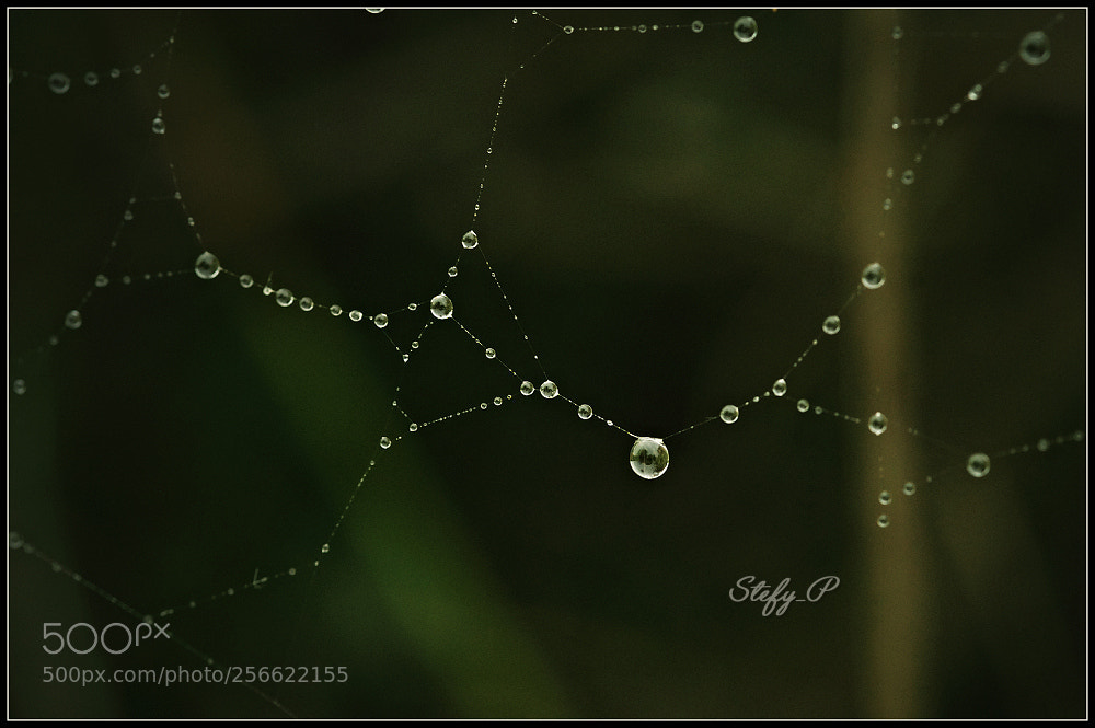 Sony SLT-A58 sample photo. A brillant pendant photography