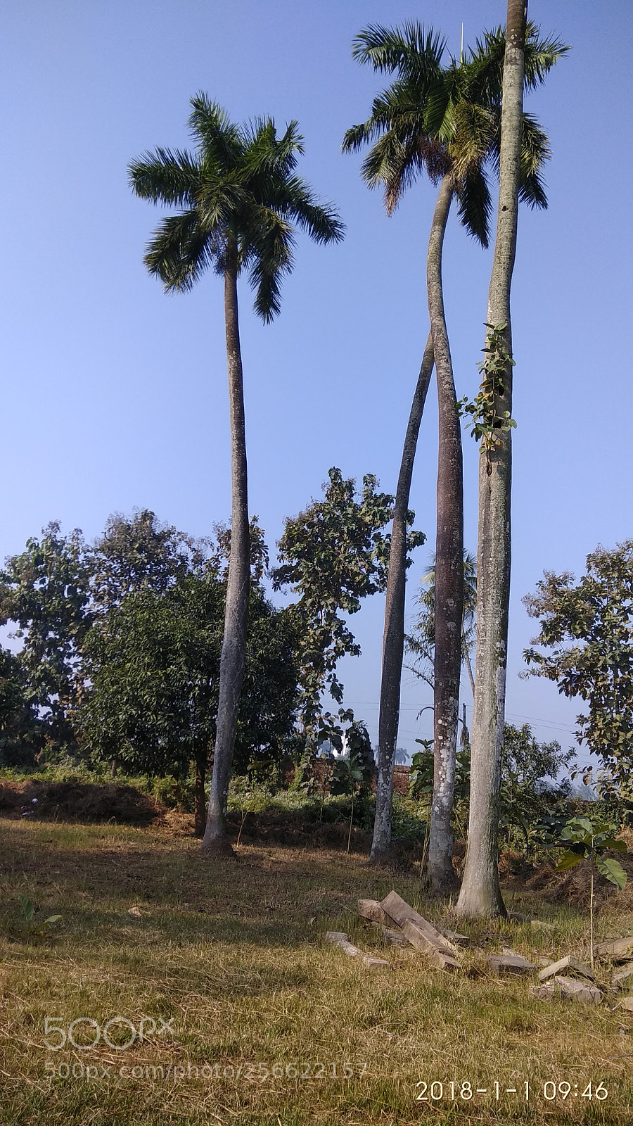 Xiaomi Redmi Note 4 sample photo. Img_20180101_094622.jpg photography