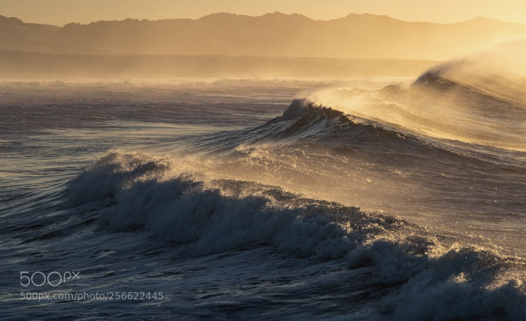 Canon EOS-1D X Mark II sample photo. Triple waves... photography