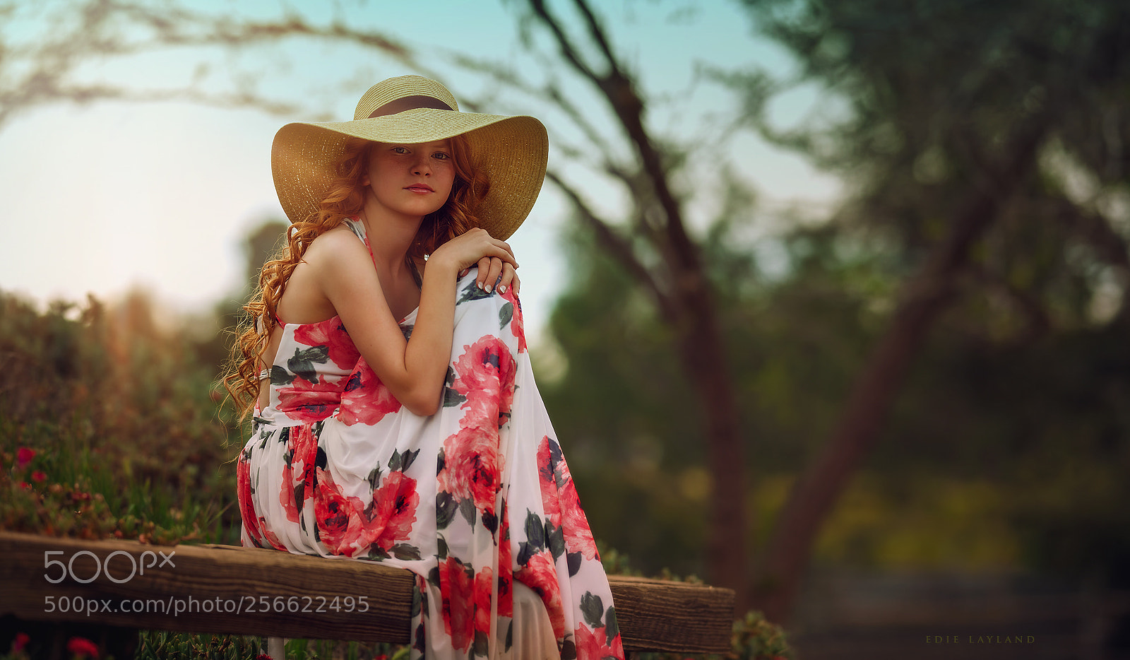Nikon D850 sample photo. Belle photography