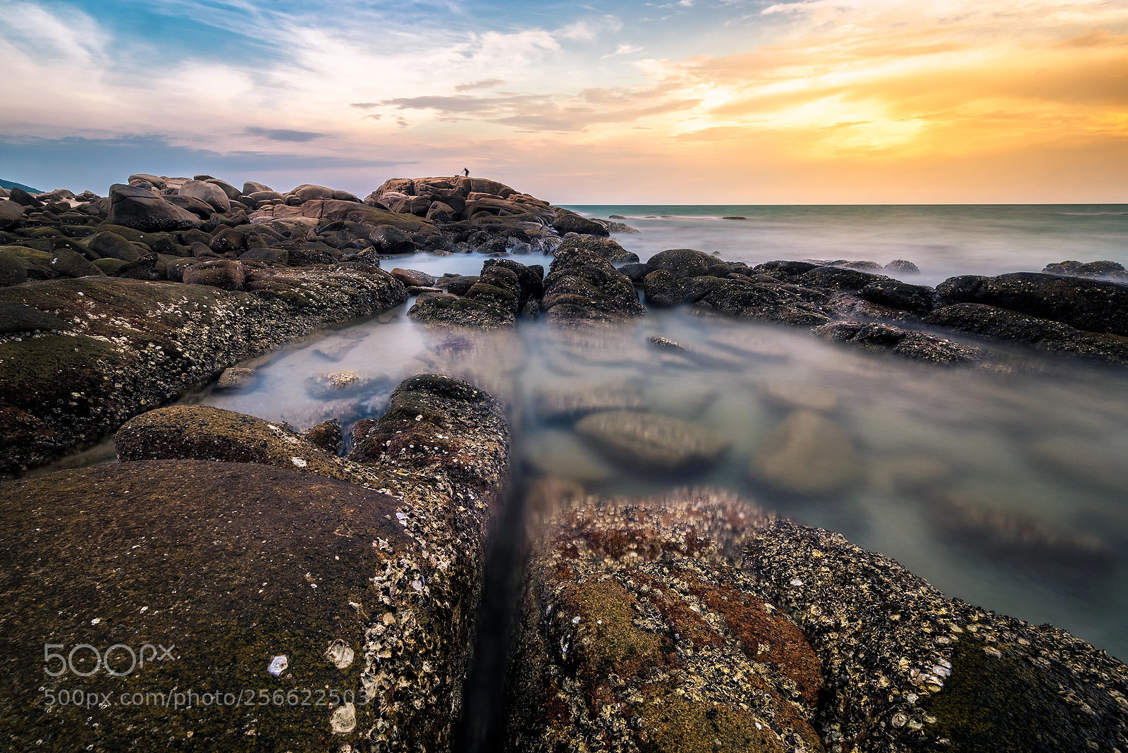 Nikon D810 sample photo. Edit edit photography