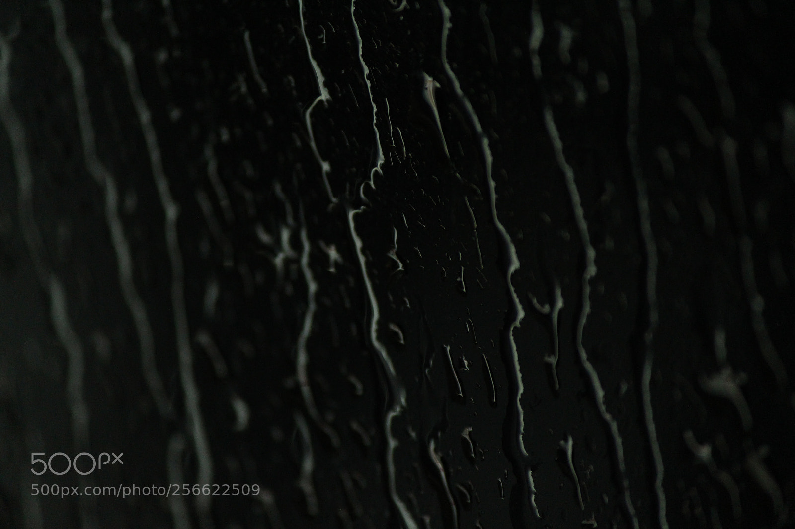 Canon EF-S 55-250mm F4-5.6 IS II sample photo. The rain-kissed window pane photography