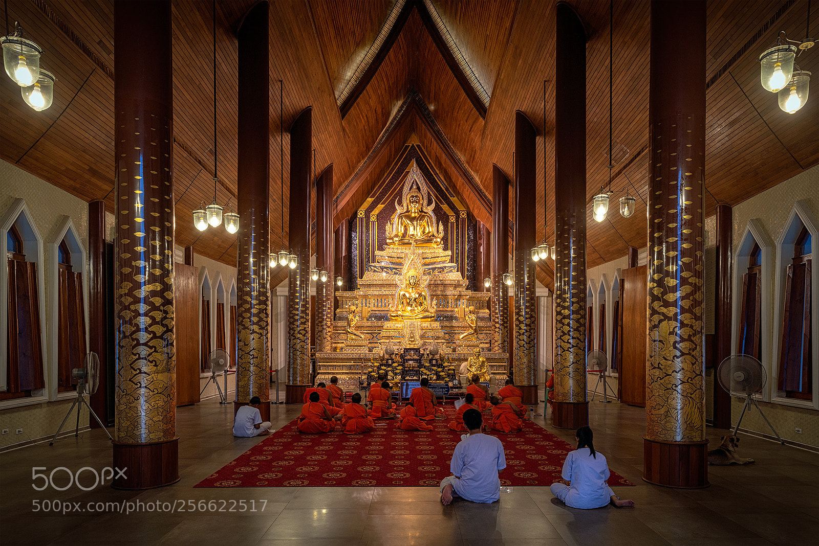 Nikon D810 sample photo. Edit photography