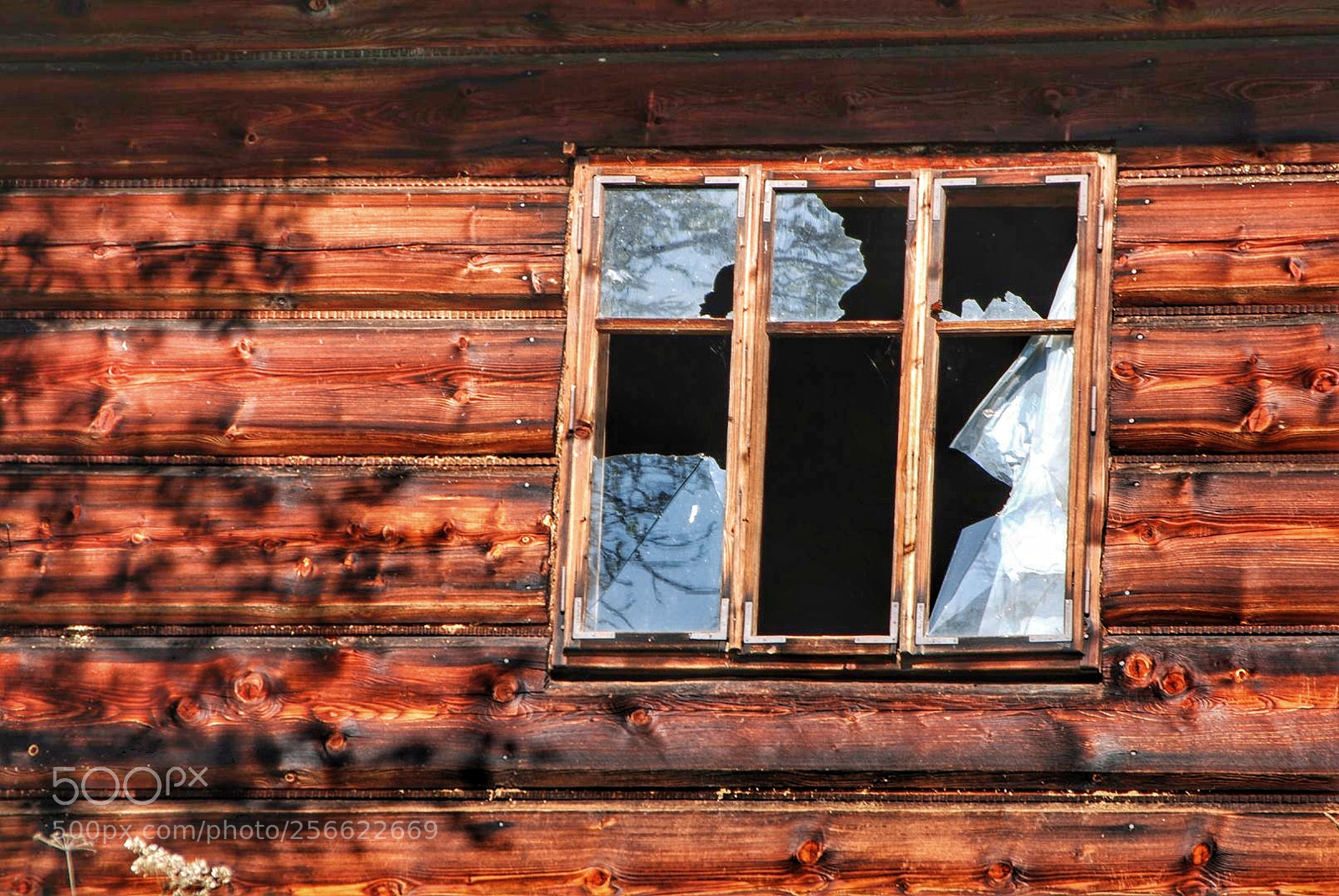 Nikon D80 sample photo. Untitled photography