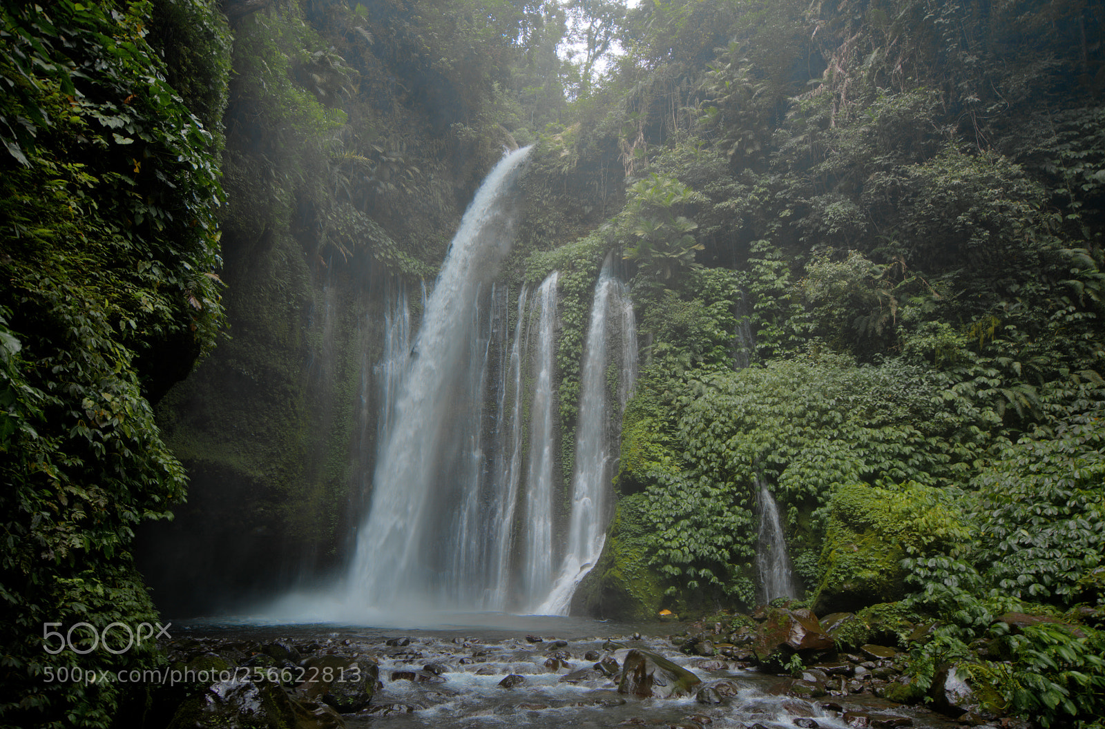 Sony a7R II sample photo. Waterfall senaru photography