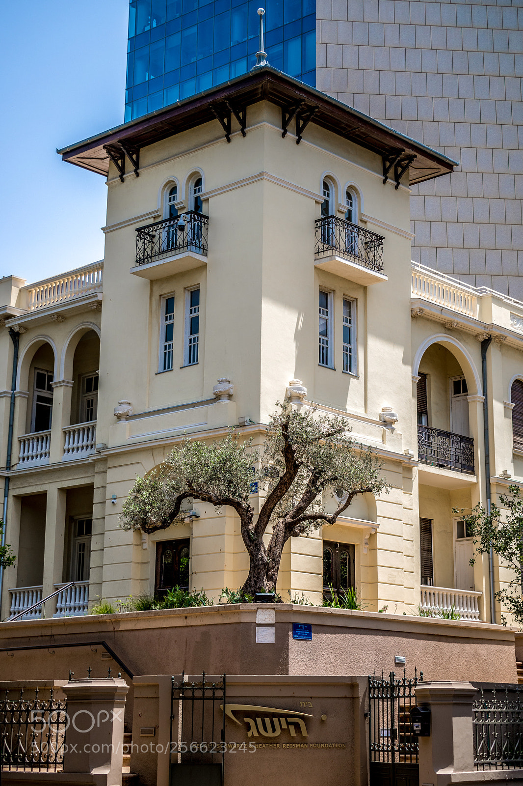 Nikon D5600 sample photo. Achievement photography