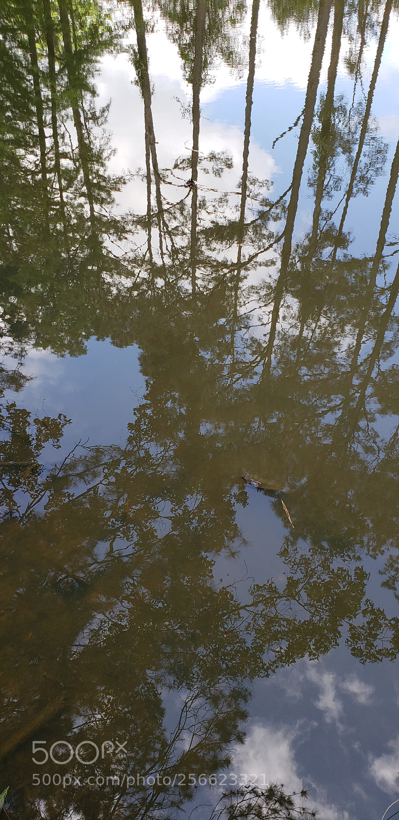 Samsung Galaxy S9 sample photo. Untitled photography