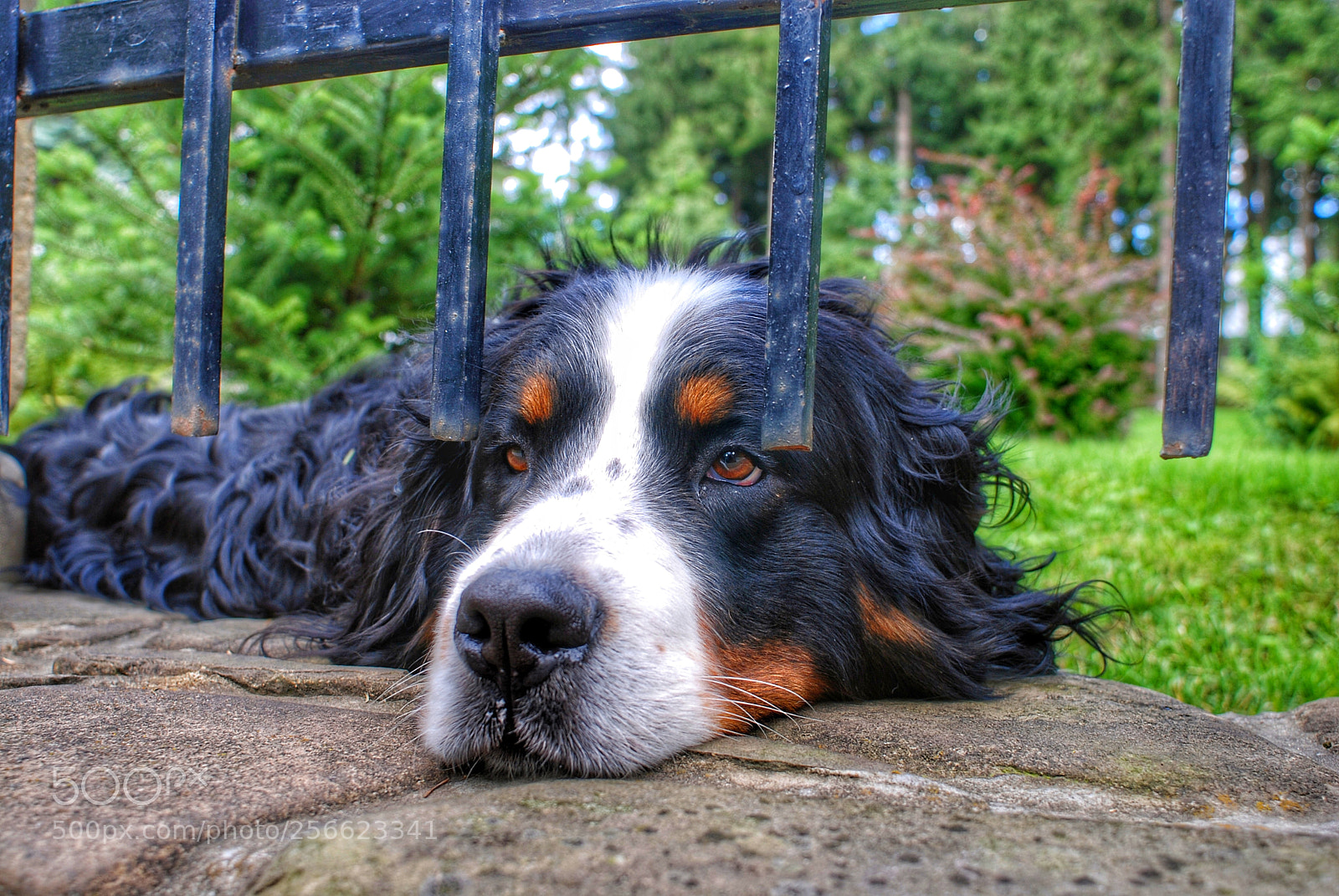 Nikon D80 sample photo. Untitled photography