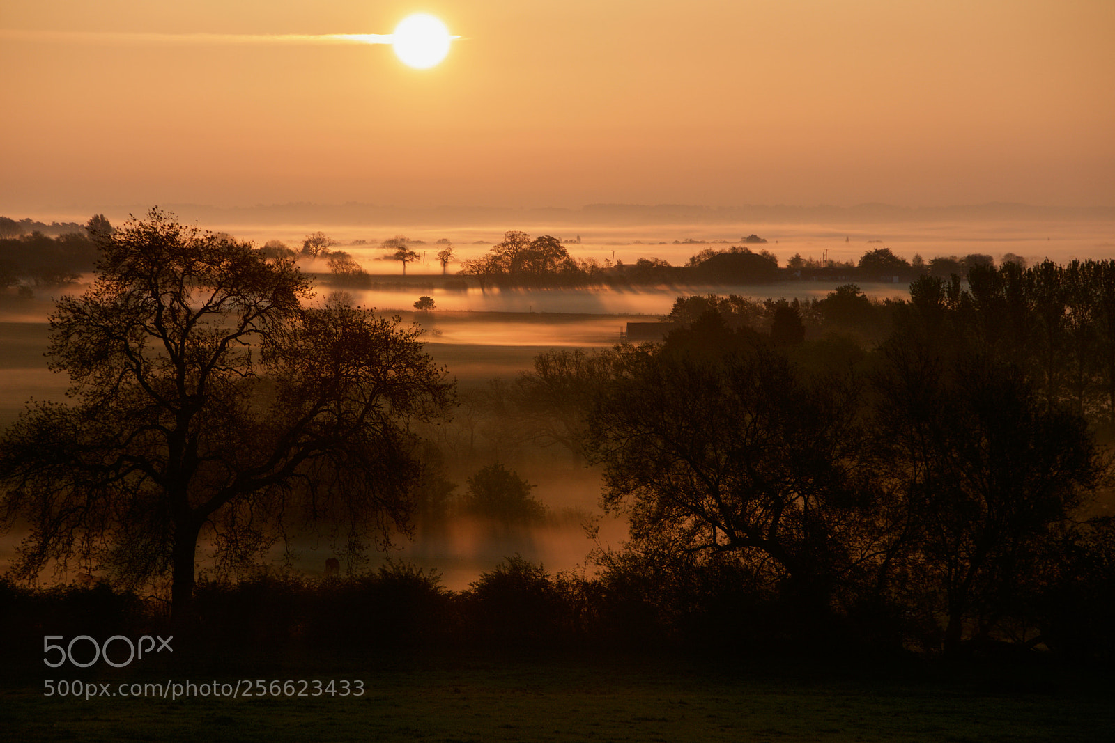 Nikon D7100 sample photo. Field mist photography