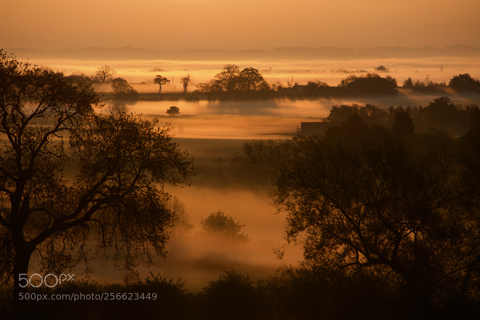 Nikon D7100 sample photo. Field mist photography