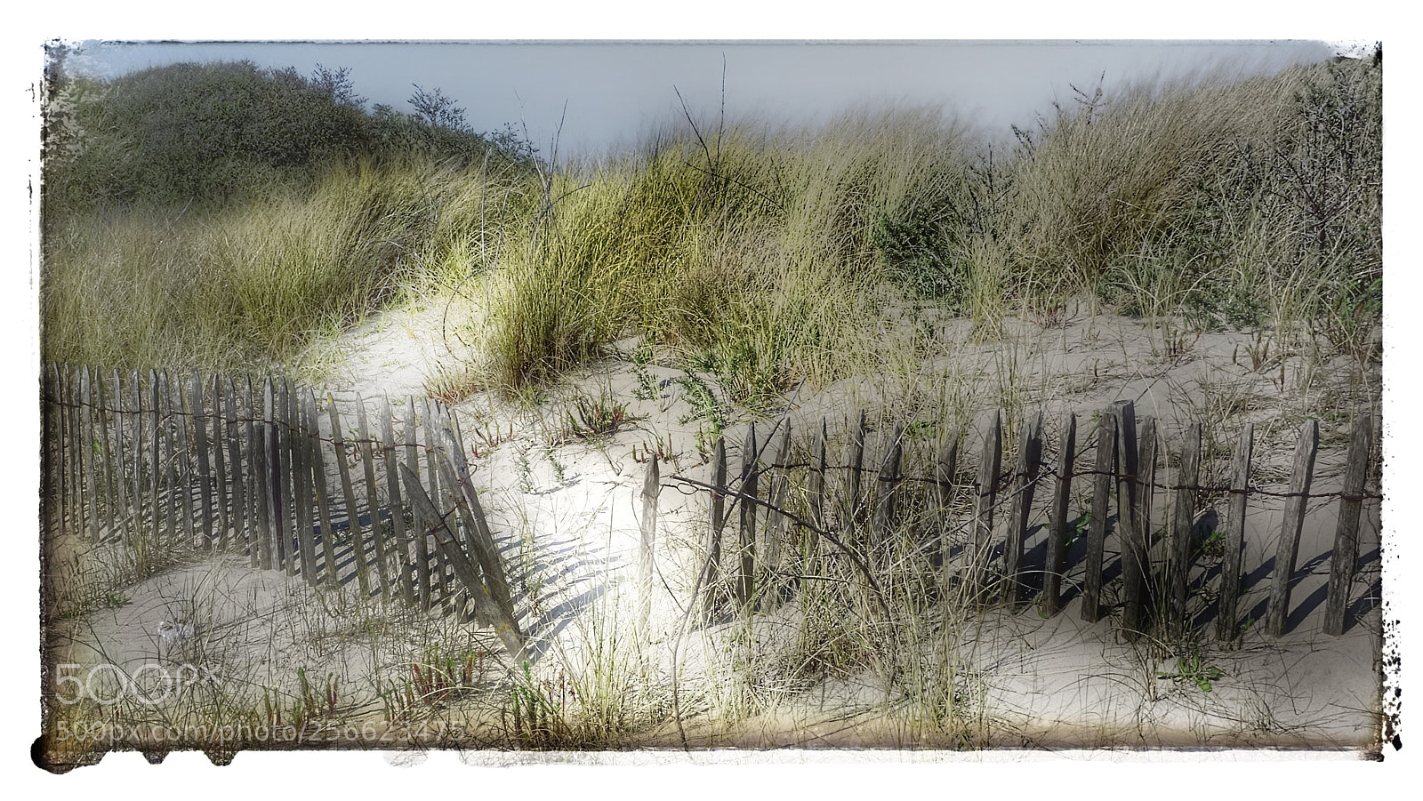 Sony Cyber-shot DSC-RX100 IV sample photo. Chemin interdit photography