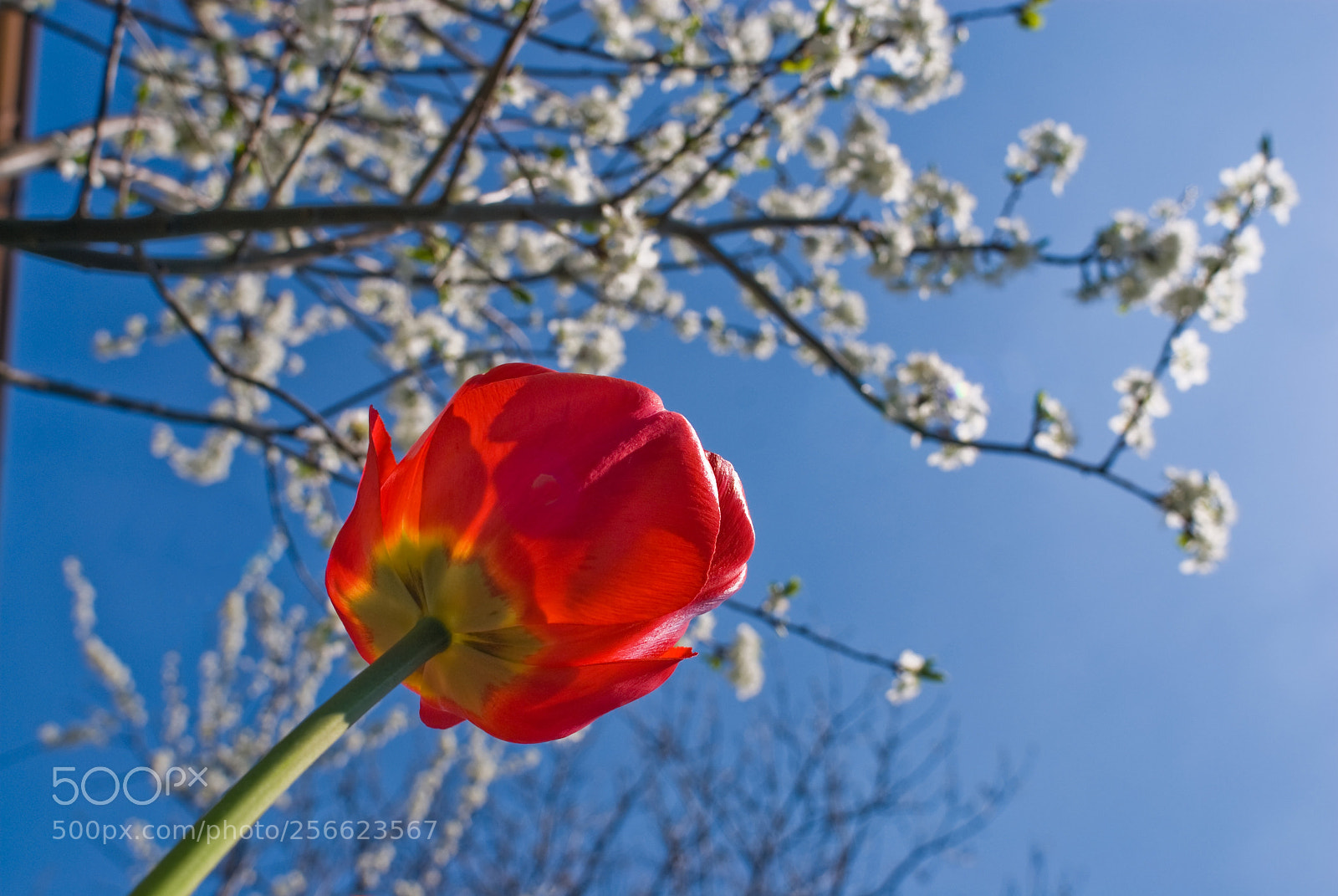 Nikon D80 sample photo. Untitled photography