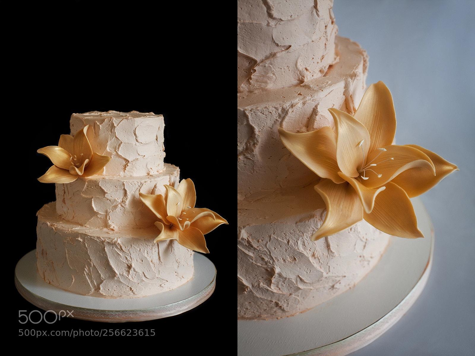 Canon EOS 5D Mark II sample photo. Sweet photography