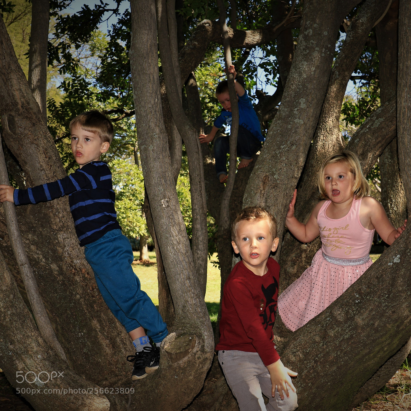 Canon EOS 7D Mark II sample photo. Inquisitive photography