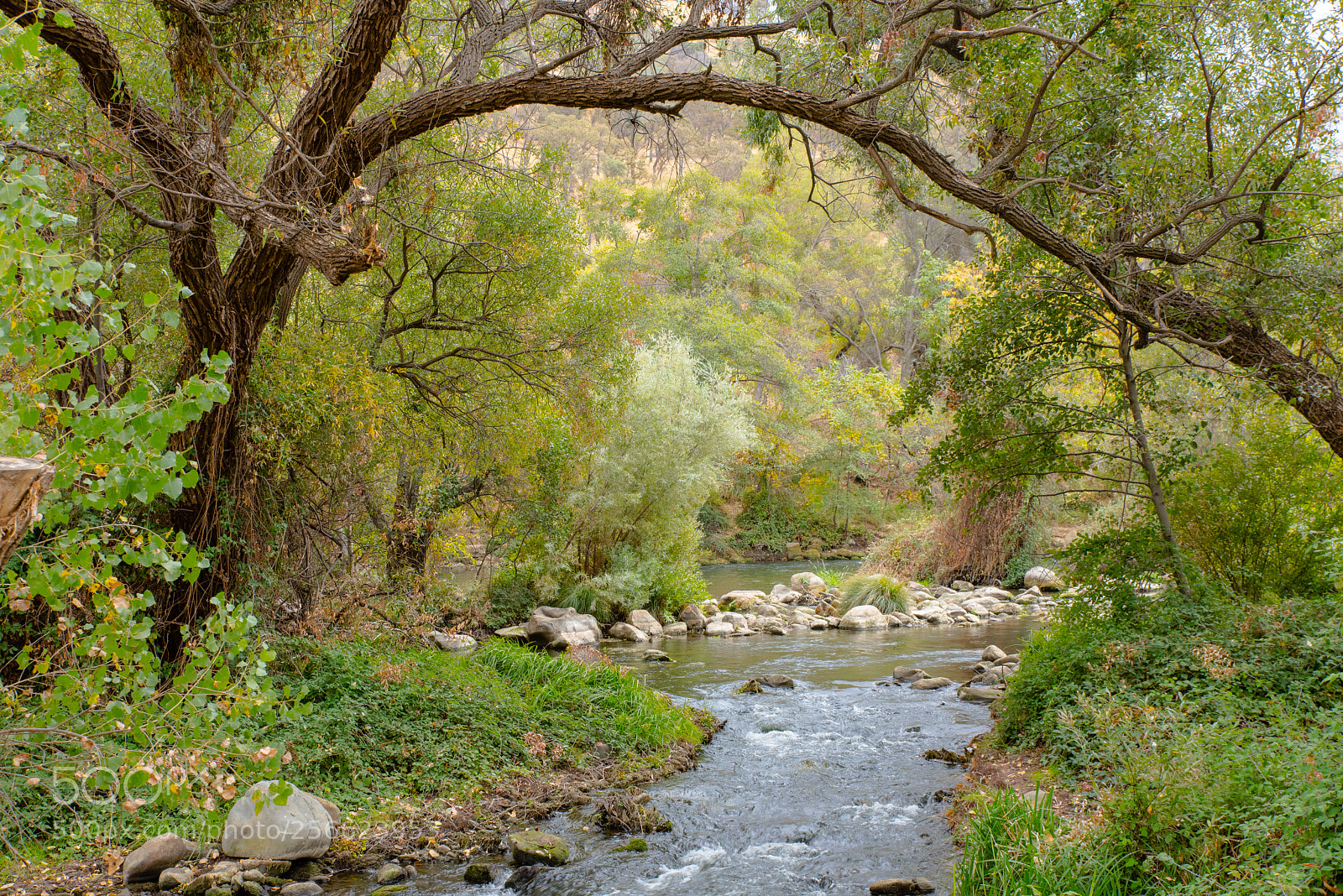 Nikon D810 sample photo. Putuah creek photography