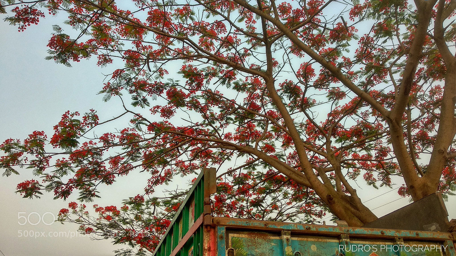 Xiaomi Mi A1 sample photo. Untitled photography