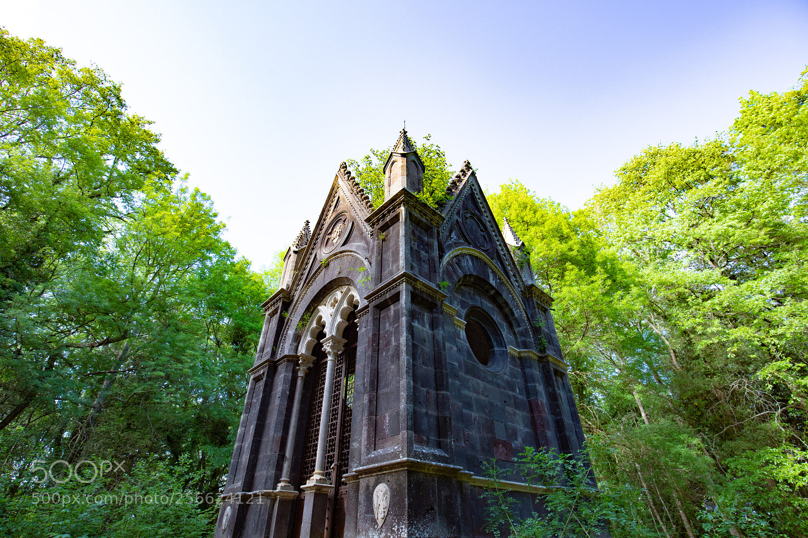 Canon EOS 5D Mark IV sample photo. The forgotten tomb photography