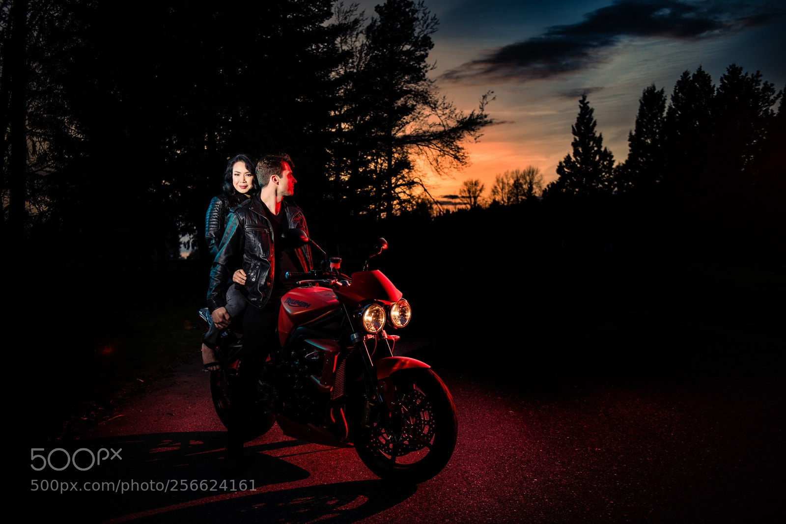 Nikon D850 sample photo. Untitled photography