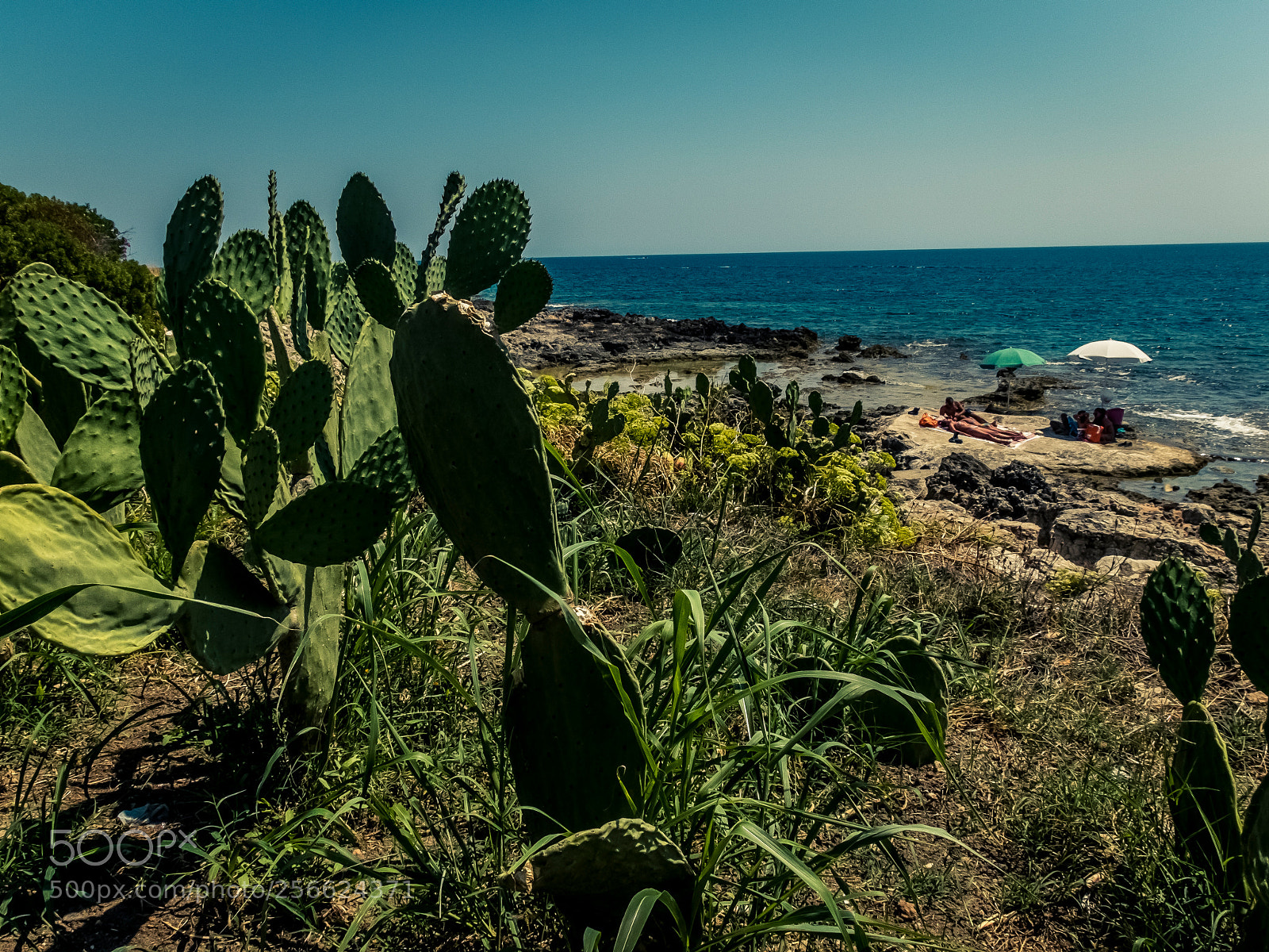 Fujifilm X20 sample photo. Sicily an hard sun photography