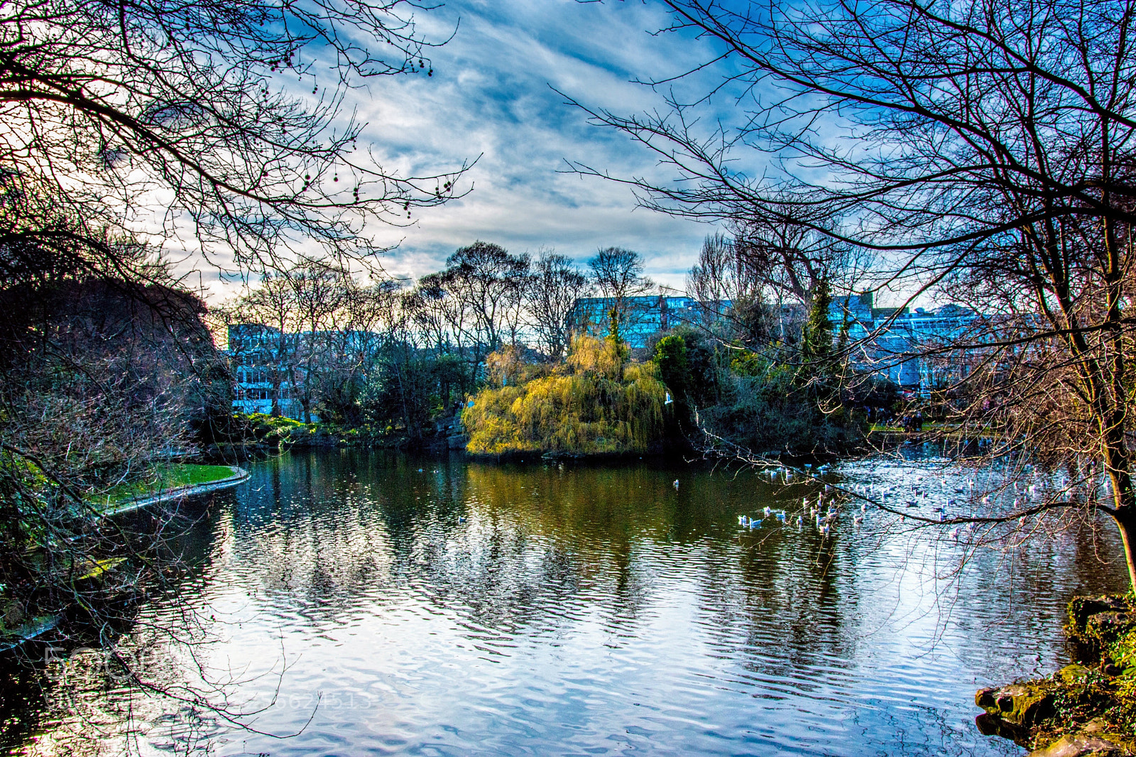 Canon EOS 70D sample photo. Park photography