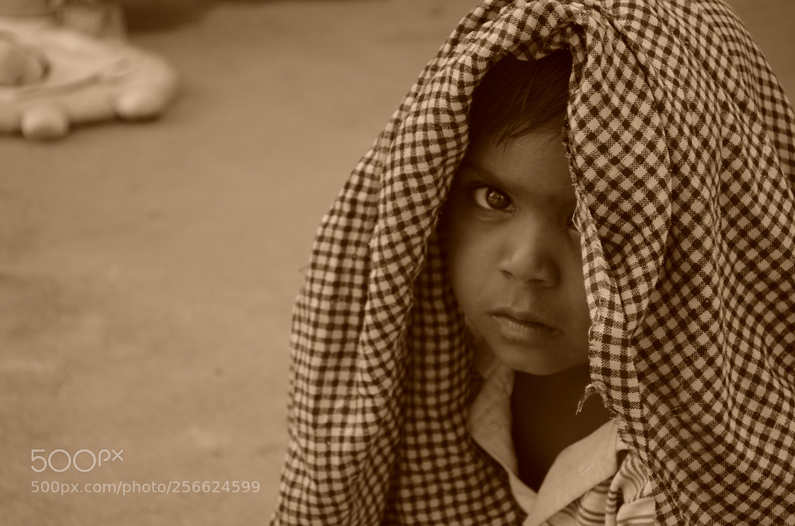 Nikon D5100 sample photo. Untitled photography
