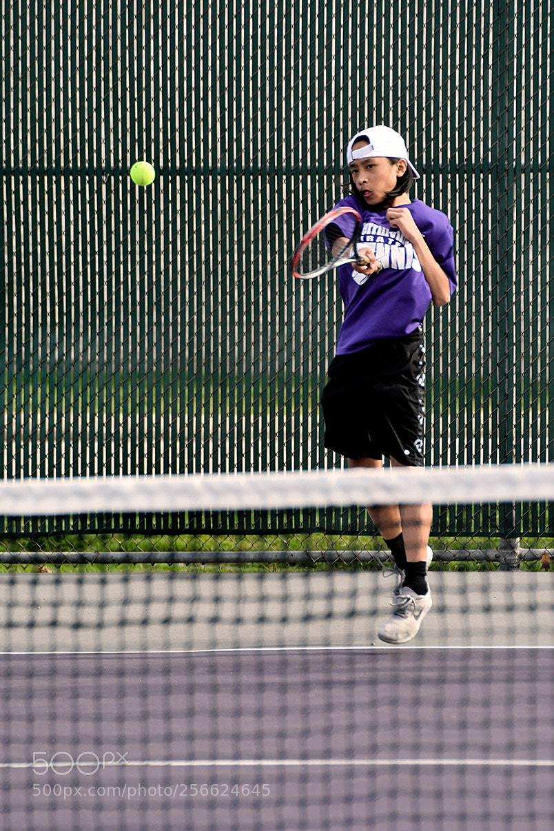 Nikon D500 sample photo. 5-1_0008.jpg photography