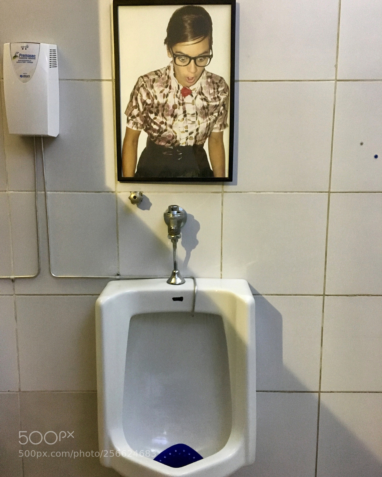Apple iPhone 6s sample photo. Voyeur in the bathroom  photography