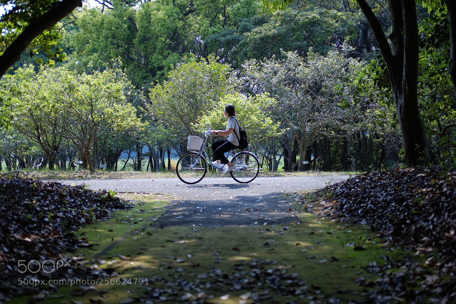 Fujifilm X-T10 sample photo. Dscf photography