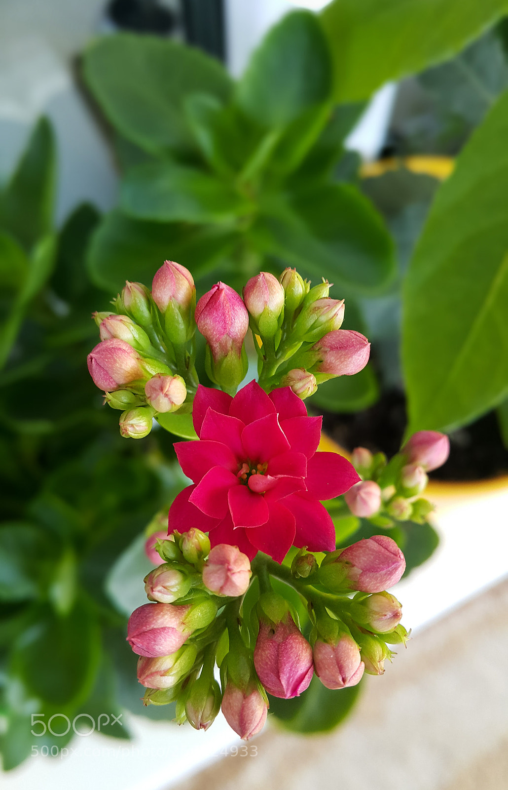 Samsung Galaxy Note4 sample photo. Untitled photography
