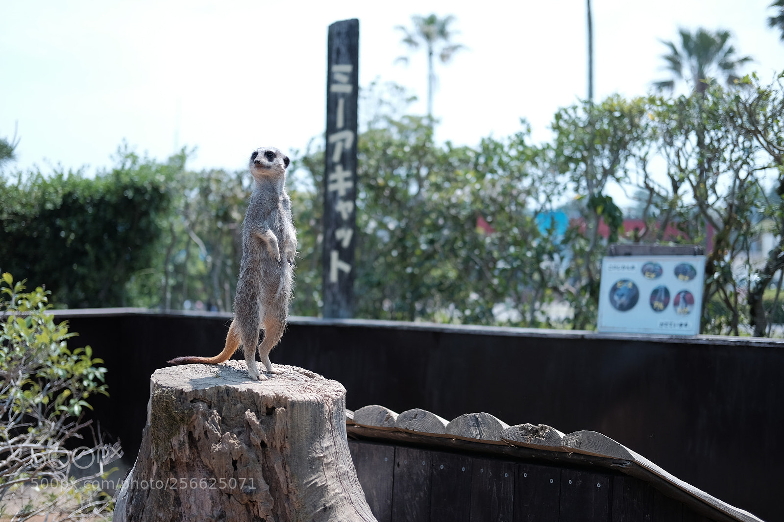 Fujifilm X-T10 sample photo. Dscf photography