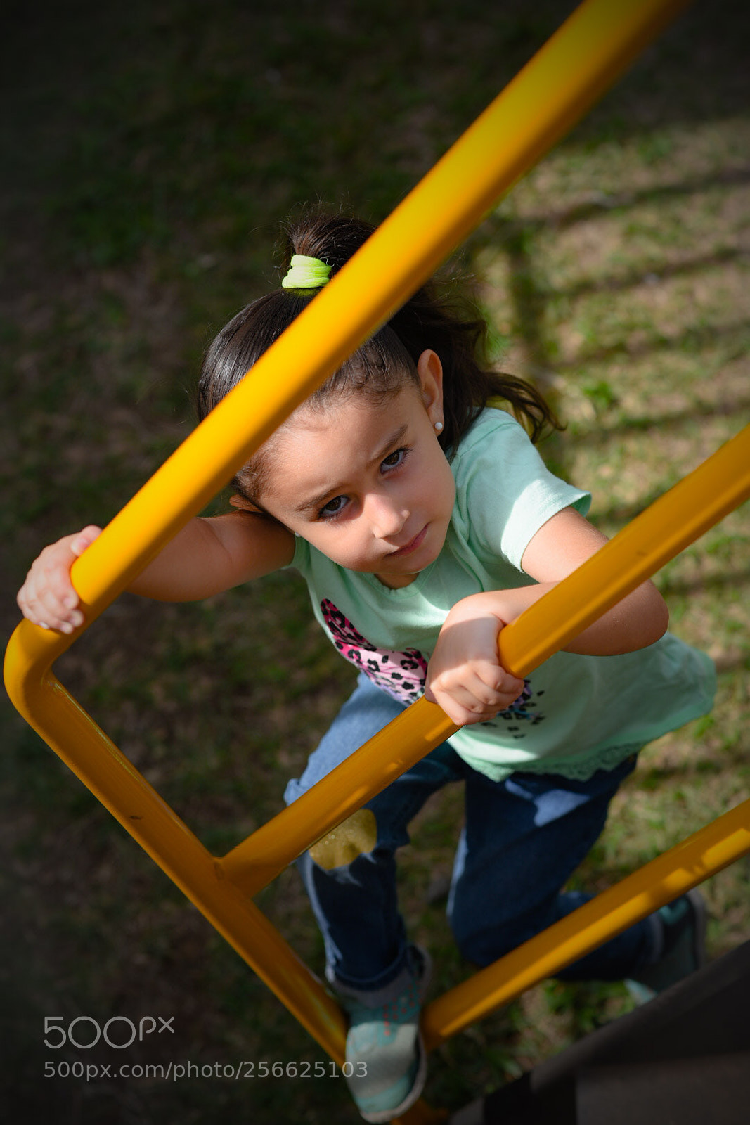 Nikon D750 sample photo. Untitled photography