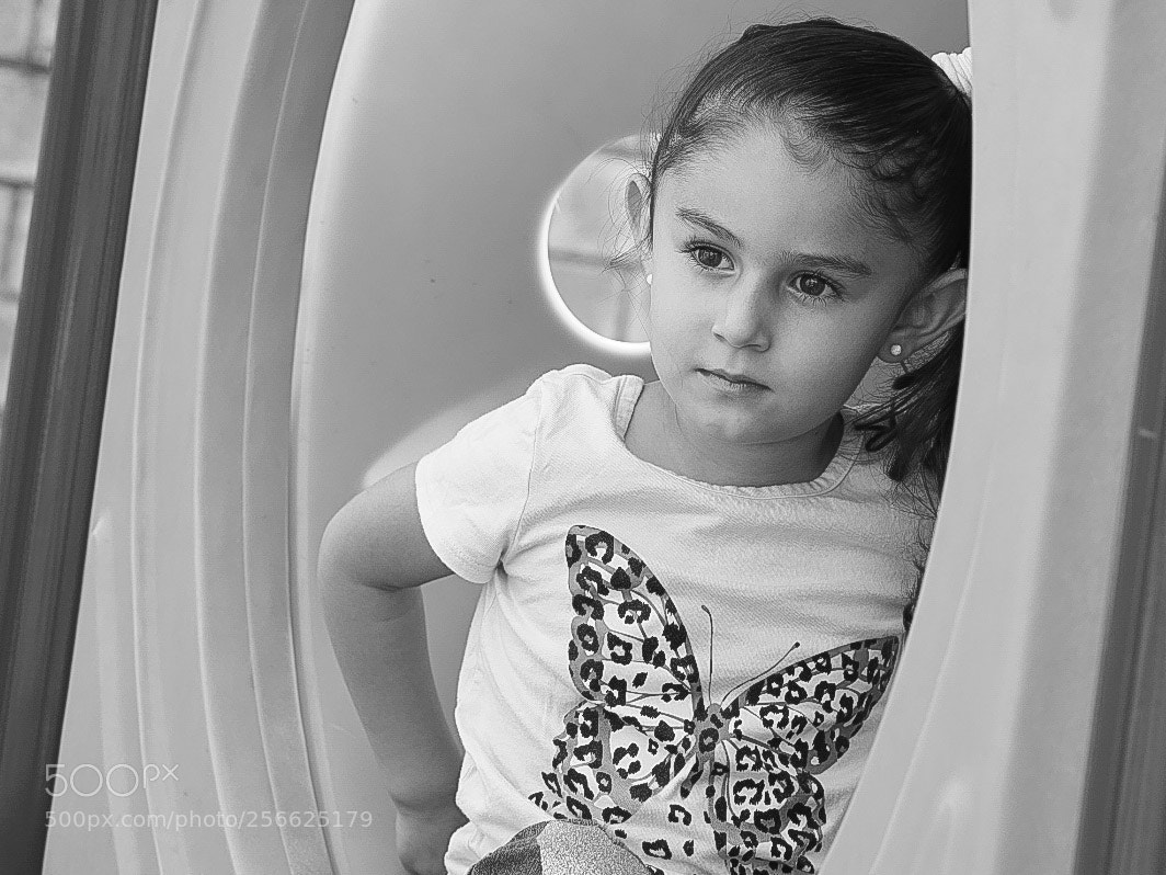 Nikon D750 sample photo. Untitled photography