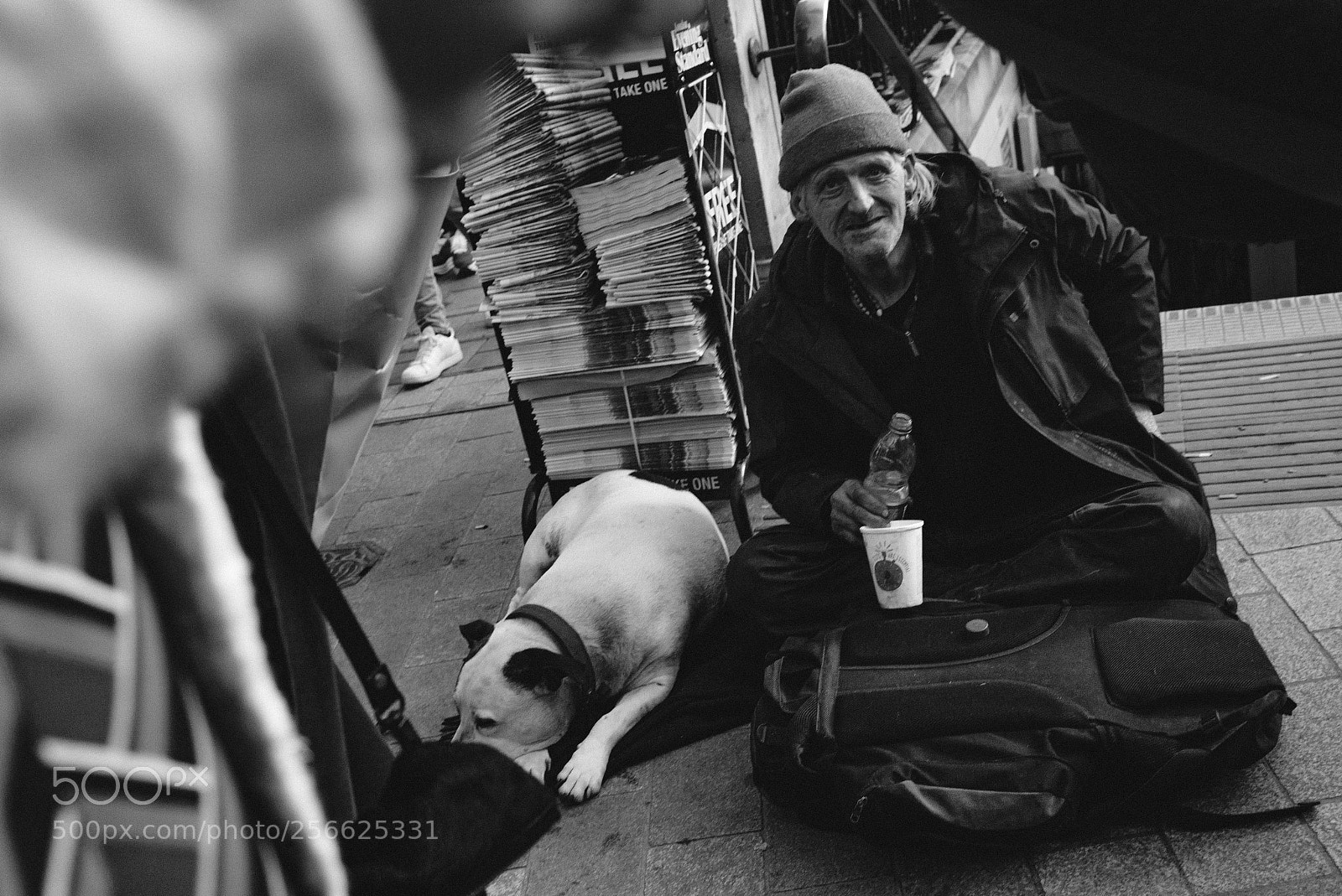 Leica M (Typ 240) sample photo. Life of reilly photography