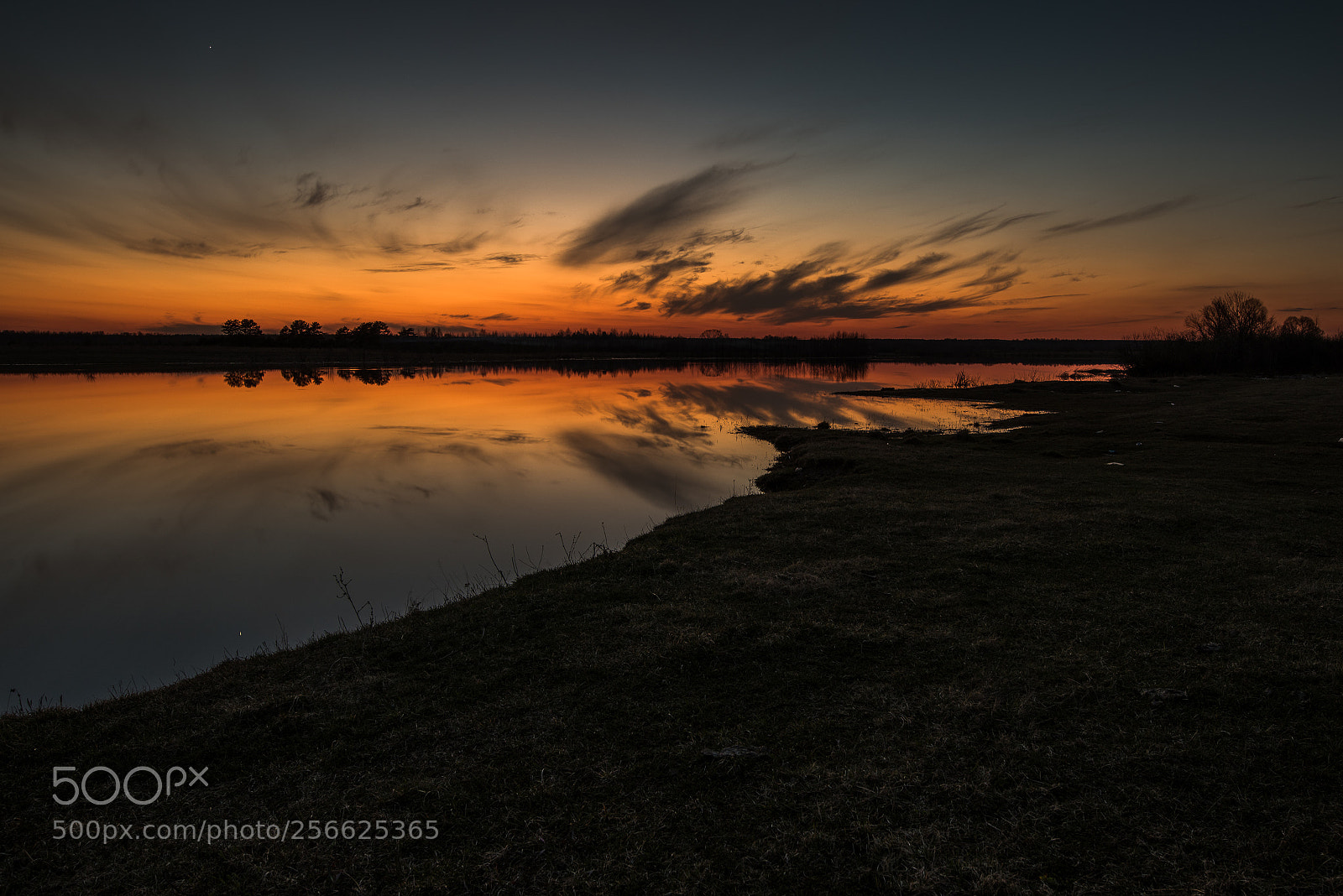 Nikon D810 sample photo. Evening pond photography