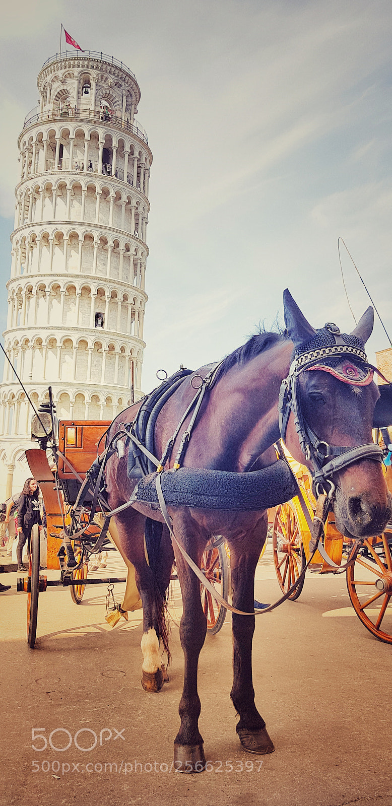 Samsung Galaxy S8 sample photo. Pisa in the story photography
