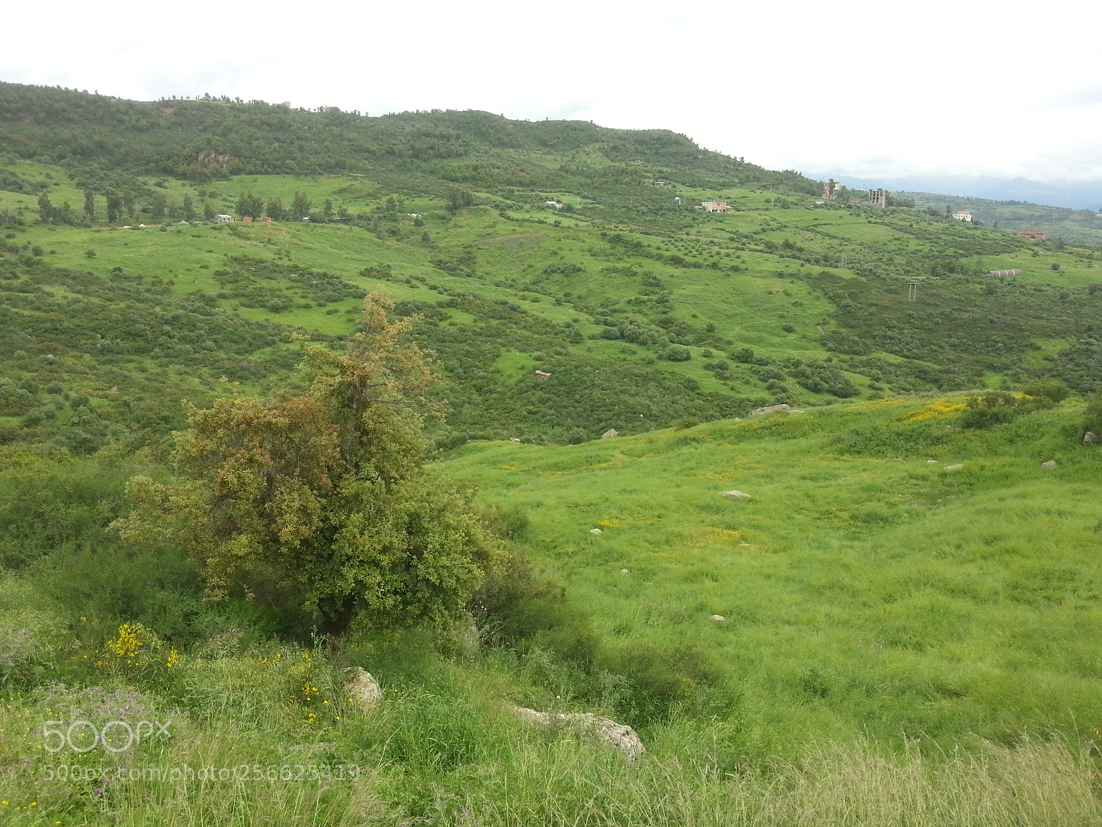 Samsung Galaxy S3 sample photo. Untitled photography