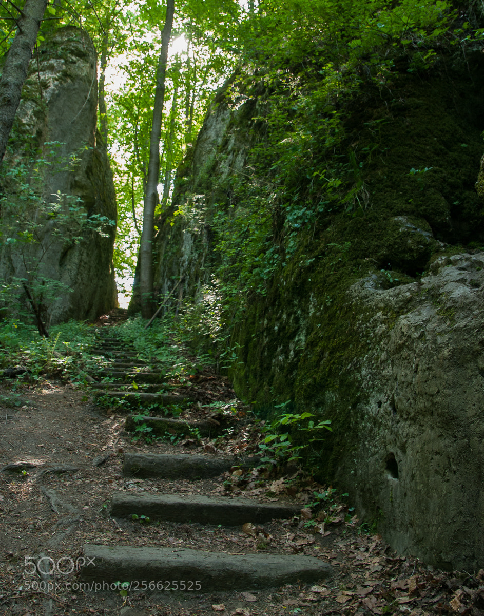 Nikon D200 sample photo. Way photography