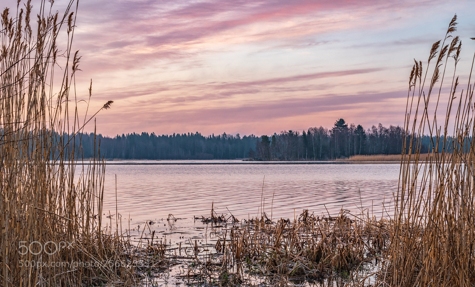 Nikon D5500 sample photo. Lake photography