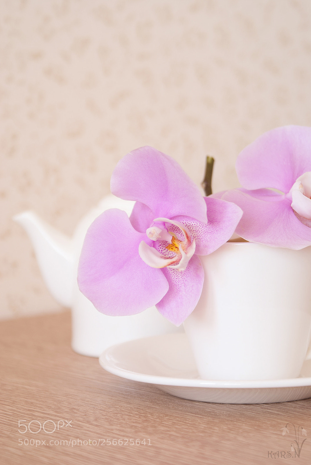 Sony Alpha DSLR-A200 sample photo. Orchid photography
