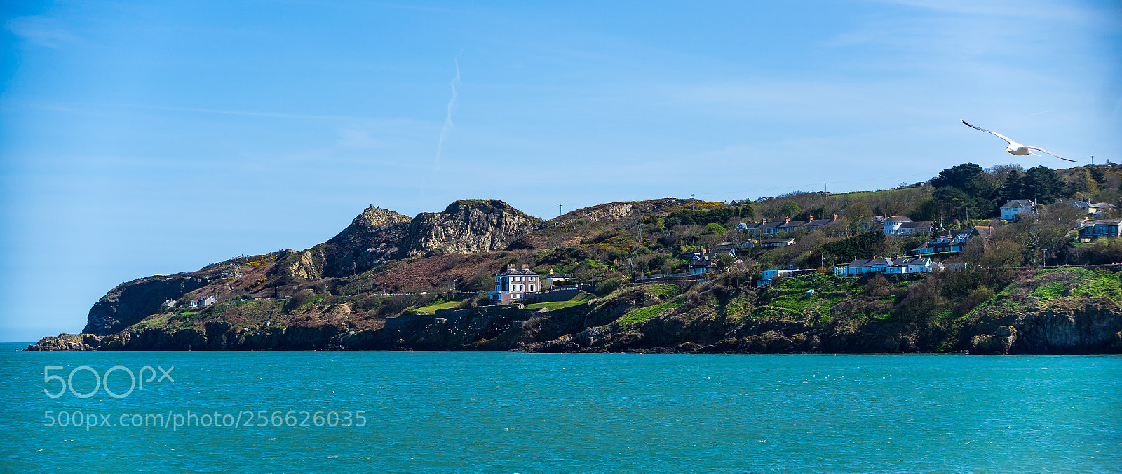 Sony a7 sample photo. Howth cliffs photography