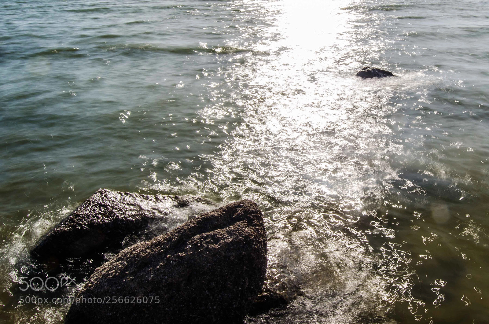 Nikon D5100 sample photo. Closed lines photography