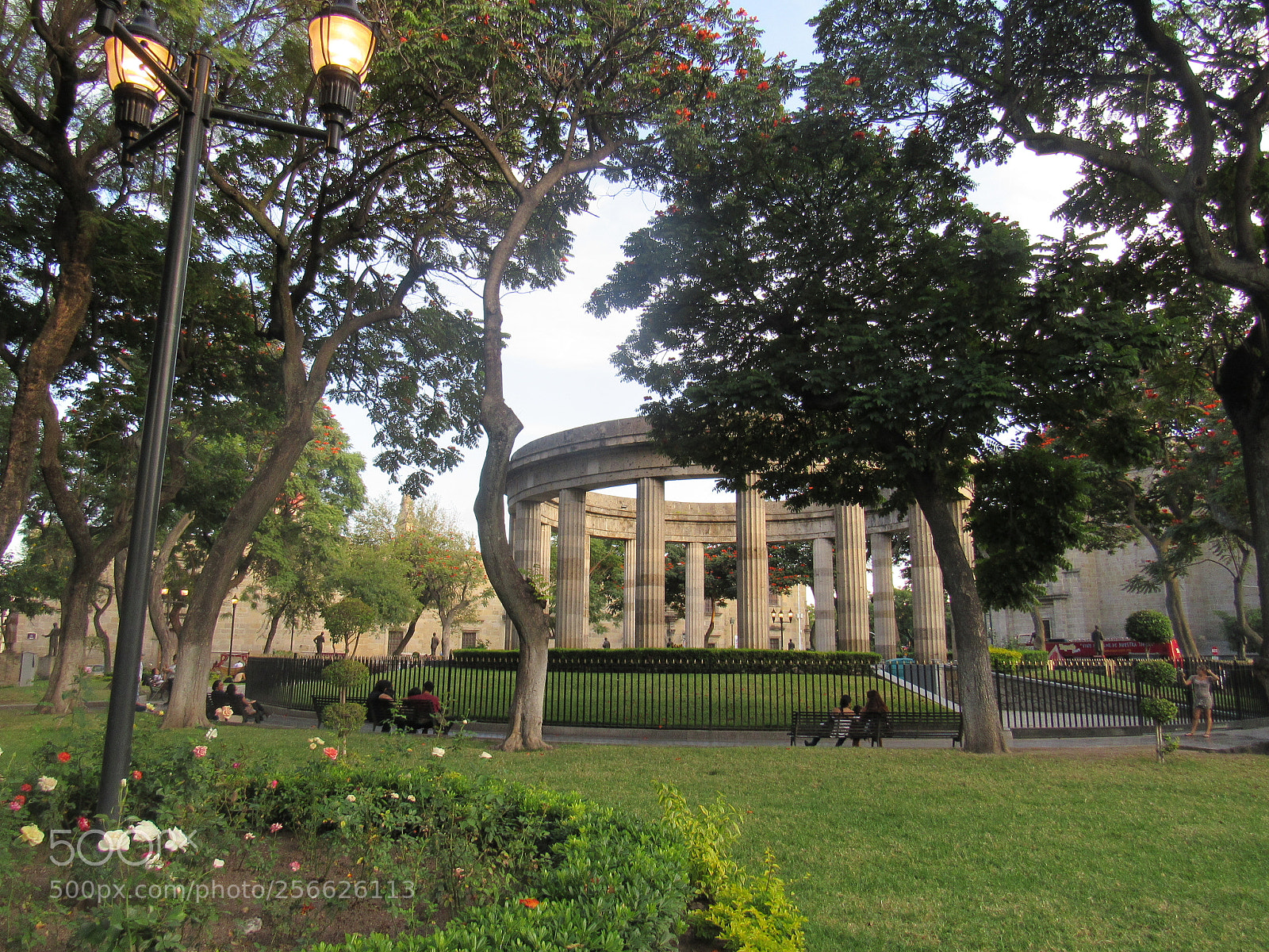 Canon PowerShot SX530 HS sample photo. Escondite photography